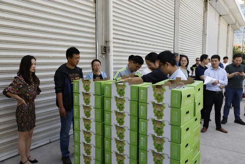 脫貧攻堅(jiān),電力先行