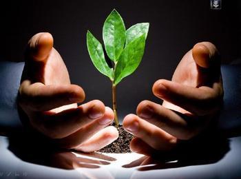 大電流變壓器盡在鵬鷹您的滿意是我們永恒的追求_大電流變壓器盡在鵬鷹您的滿意是我們永恒的追求價格_大電流變壓器盡在鵬鷹您的滿意是我們永恒的追求廠家_防盜、報警器材及系統(tǒng) 產(chǎn)品 中國橄欖油交易網(wǎng)-橄欖油價格 橄欖油團(tuán)購 橄欖油行情 進(jìn)口橄欖油