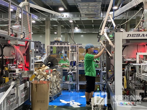 訂單培養(yǎng) 產(chǎn)教融合 平陽(yáng) 教學(xué)工廠 助力經(jīng)濟(jì)發(fā)展